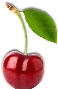 Cherries - Berry People